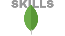 Skills